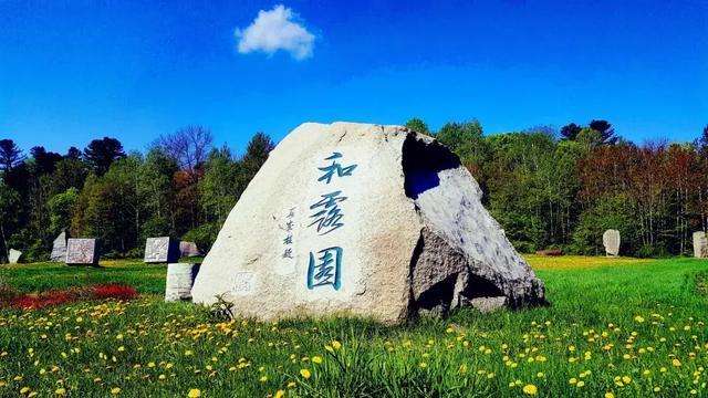 坦克动荡加强版